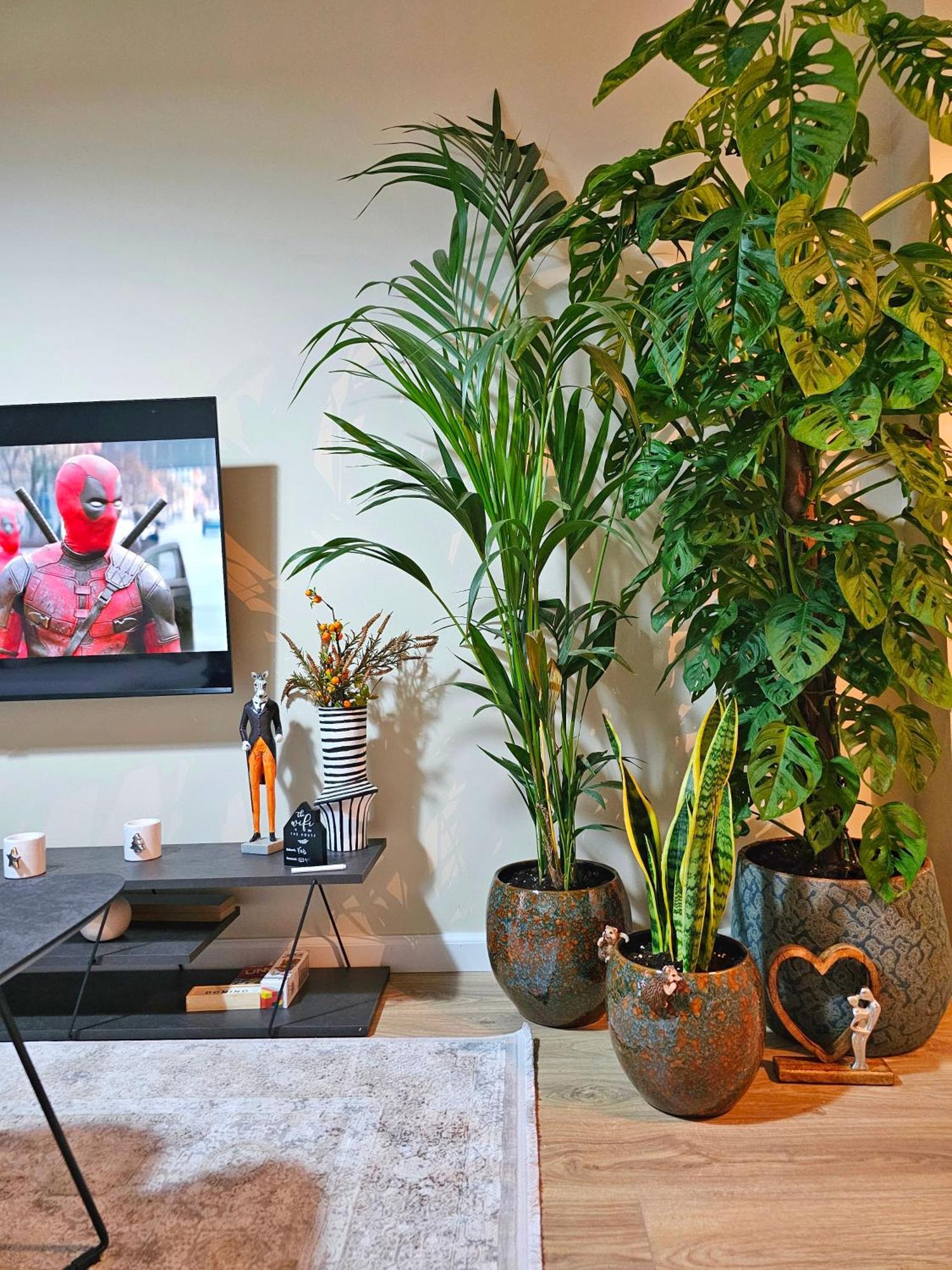 Maga Apartamento *